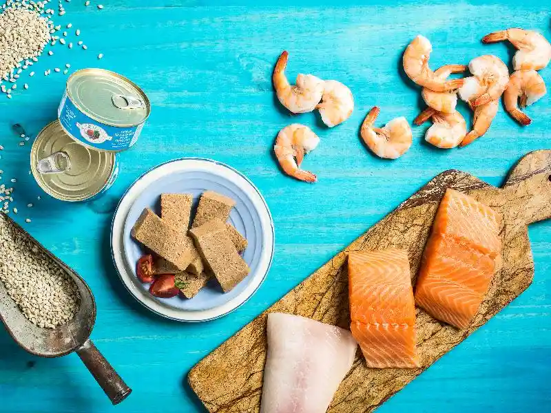 Fromm Cat Can Seafood & Shrimp Pate 5.5 Oz