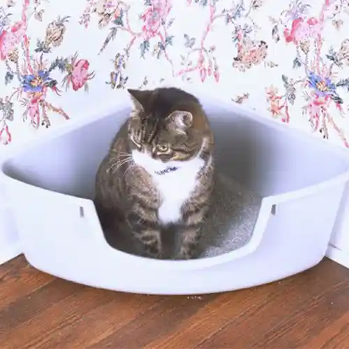 Pioneer Pet Corner Litter Box Gray