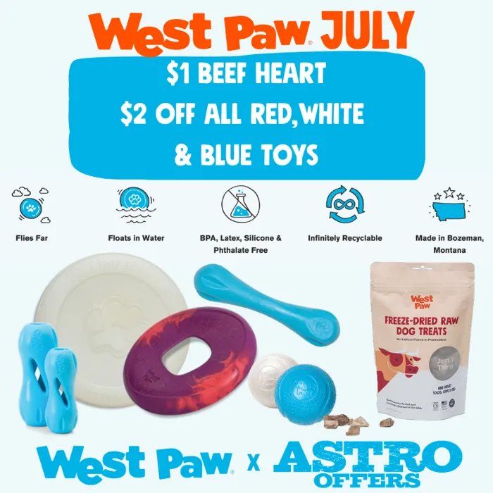 Promotion Image