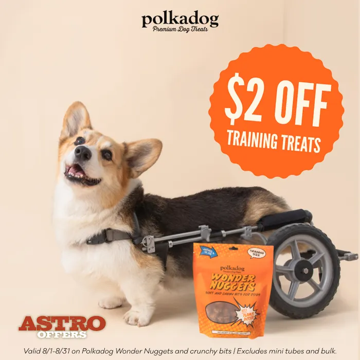 Promotion Image