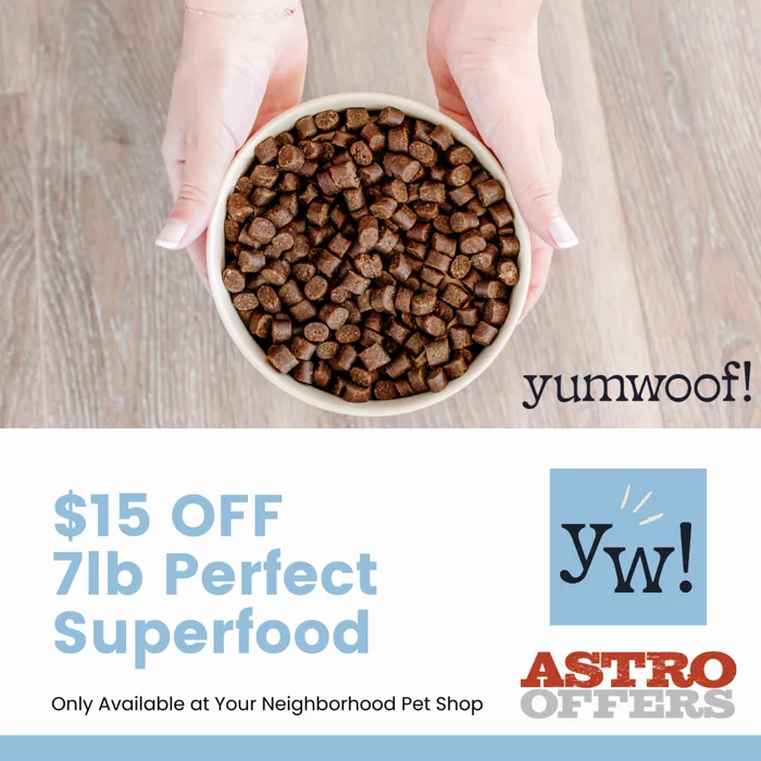 Promotion Image