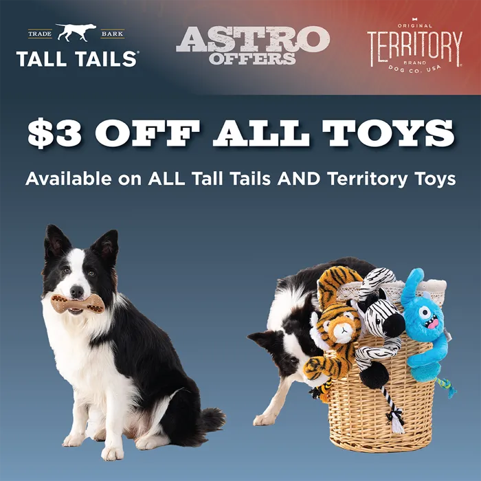 Promotion Image