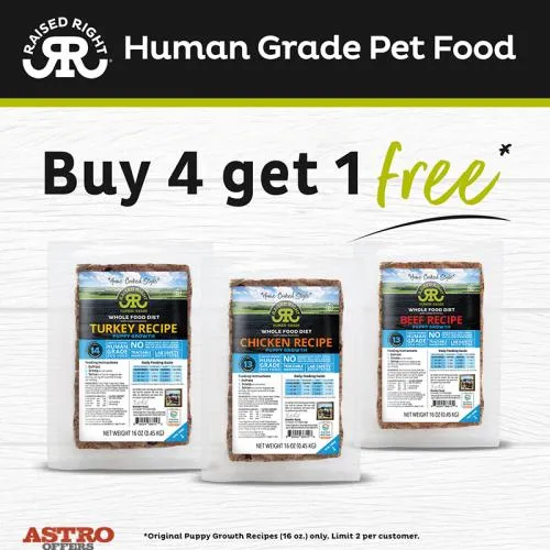 Promotion Image