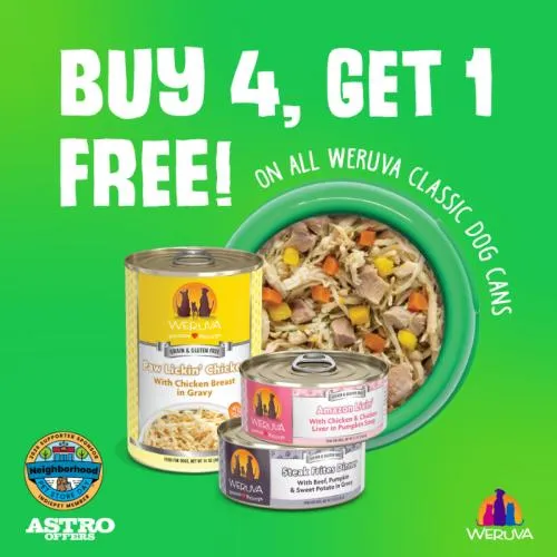 Promotion Image
