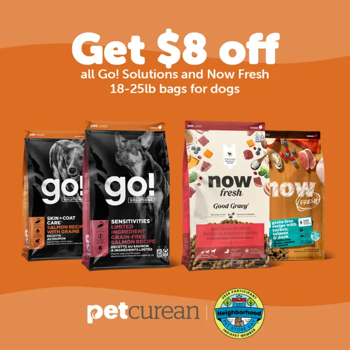 Promotion Image