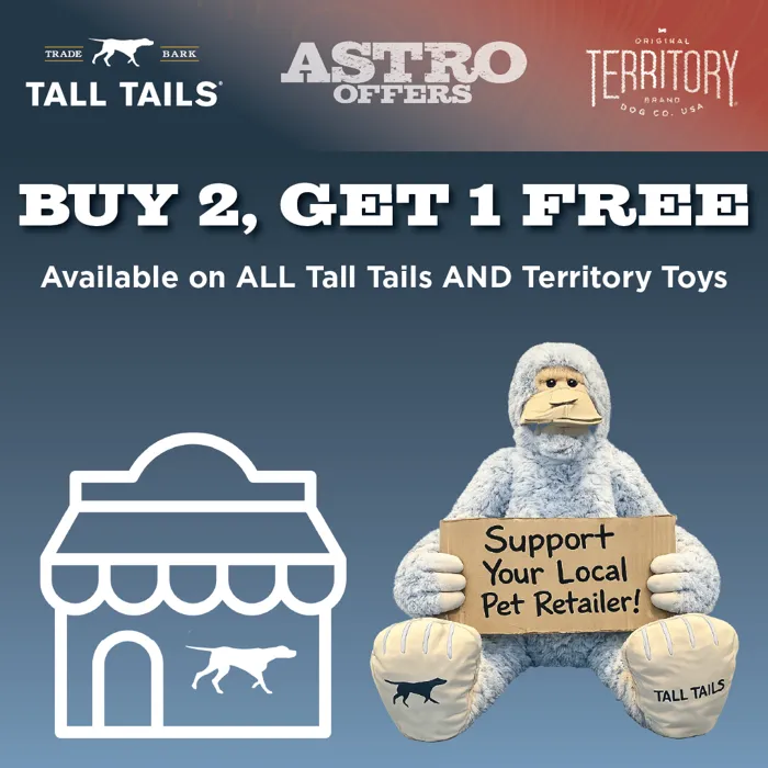 Promotion Image