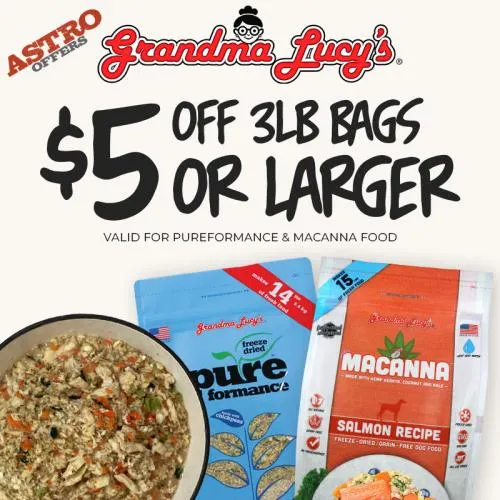 Promotion Image