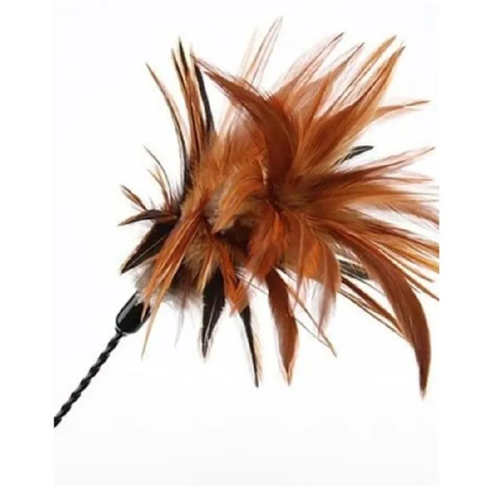 Vee Purrfect Wiggle Bouncer Cat Toy Wand