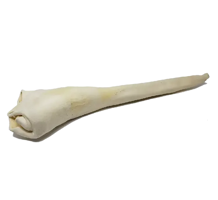 Bulk Home Range Full Length Bull Tail
