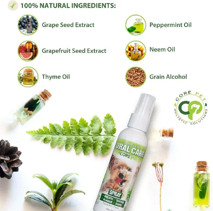 Core Oral Care Peppermint Spray 4 Oz