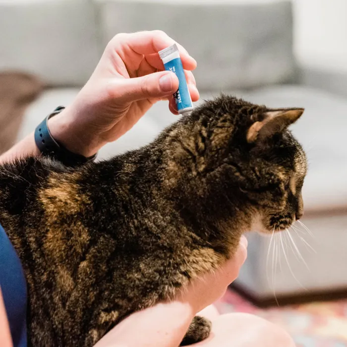 Wondercide Flea & Tick Spot On For Cats Peppermint