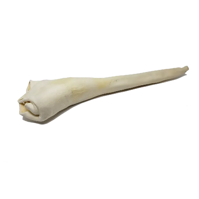 Bulk Home Range Full Length Bull Tail