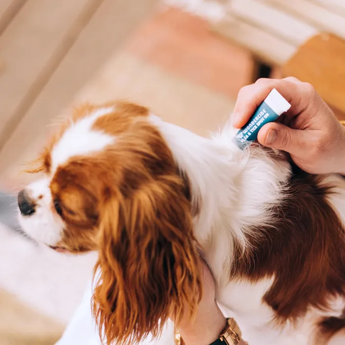 Wondercide Flea & Tick Spot On For Cats Peppermint
